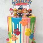 Paw patrol drip cake