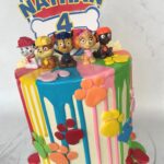 Paw patrol drip cake